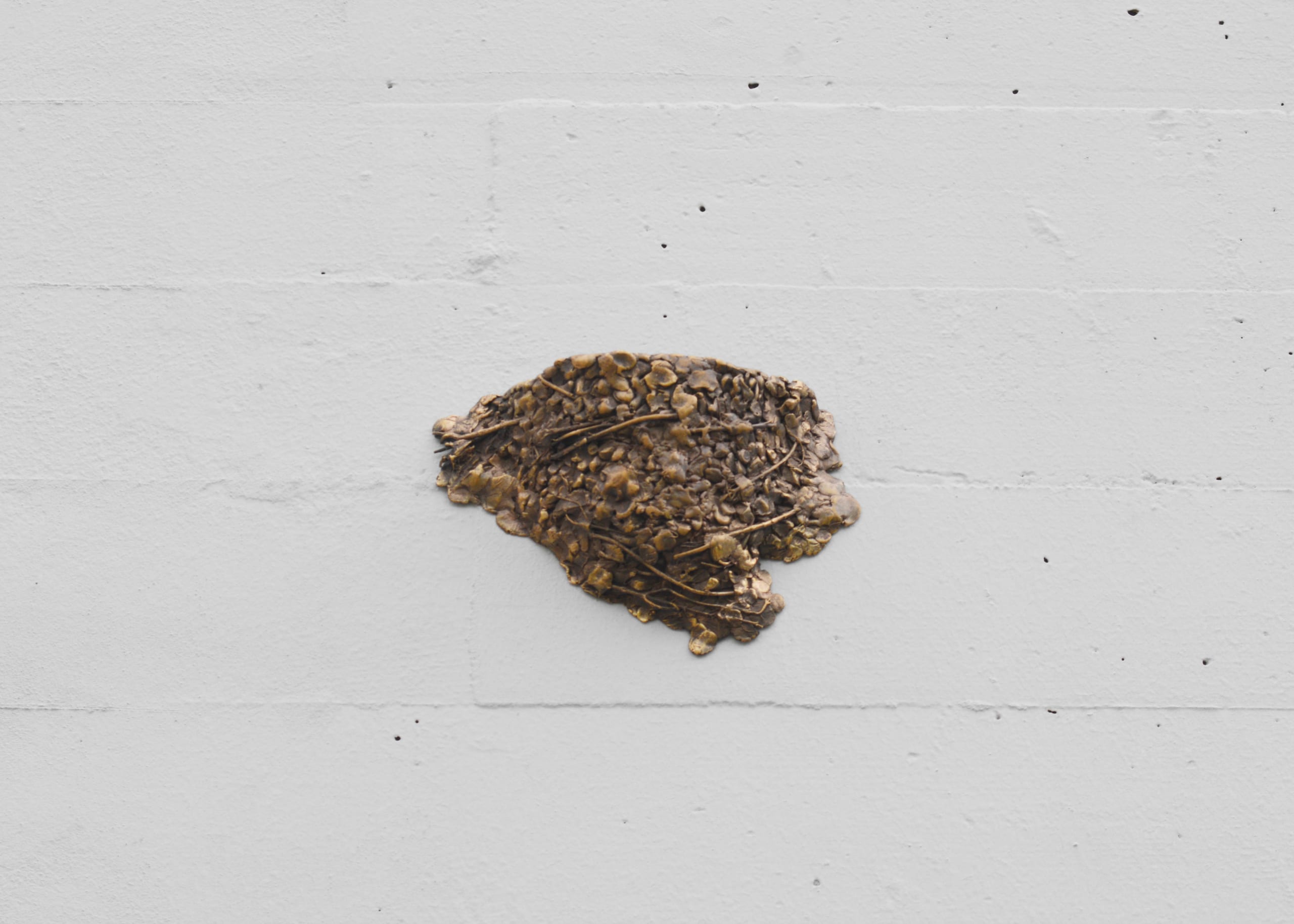 Non si può trattenere la primavera (2025): textured bronze cast mounted on a white concrete wall